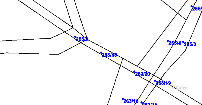 Parcela st. 263/18 v KÚ Staňkov u Pecky, Katastrální mapa