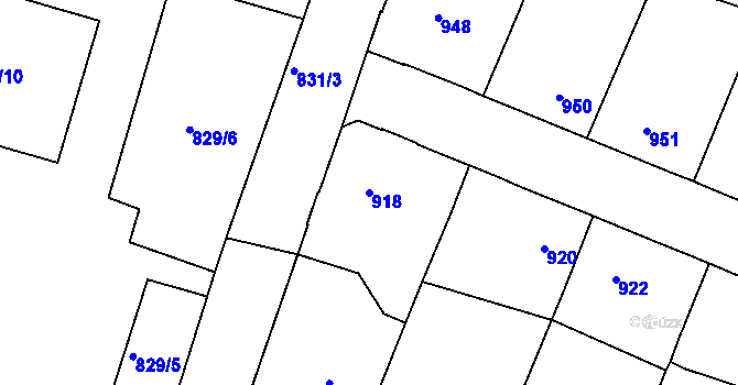 Parcela st. 918 v KÚ Pečky, Katastrální mapa