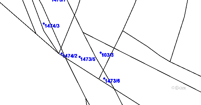 Parcela st. 103/3 v KÚ Pechova Lhota, Katastrální mapa