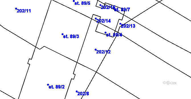 Parcela st. 202/12 v KÚ Pechova Lhota, Katastrální mapa