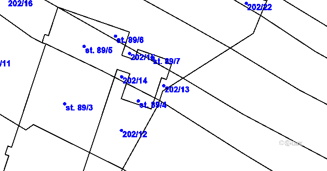 Parcela st. 202/13 v KÚ Pechova Lhota, Katastrální mapa