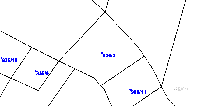 Parcela st. 836/3 v KÚ Pechova Lhota, Katastrální mapa
