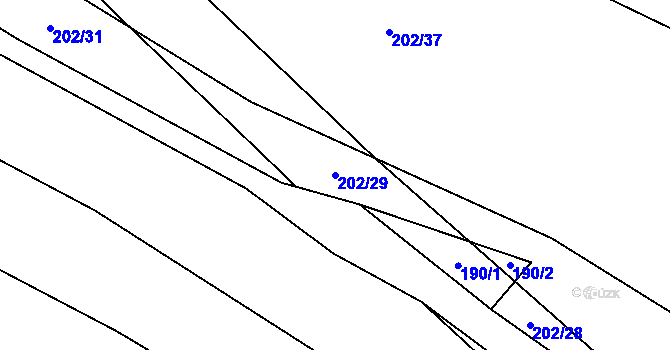Parcela st. 202/29 v KÚ Pechova Lhota, Katastrální mapa