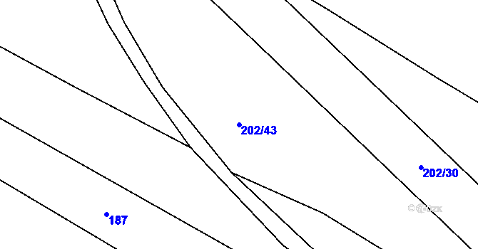 Parcela st. 202/43 v KÚ Pechova Lhota, Katastrální mapa