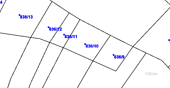 Parcela st. 836/10 v KÚ Pechova Lhota, Katastrální mapa