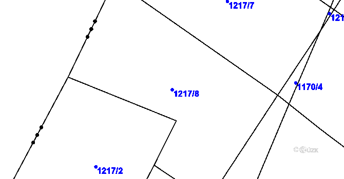 Parcela st. 1217/8 v KÚ Pechova Lhota, Katastrální mapa