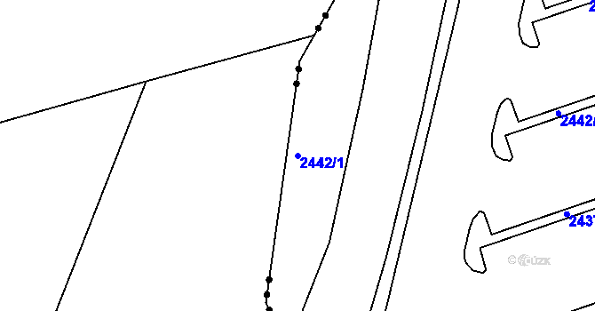 Parcela st. 2442/1 v KÚ Pelhřimov, Katastrální mapa