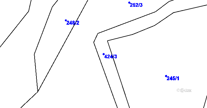 Parcela st. 424/3 v KÚ Březí u Pernarce, Katastrální mapa