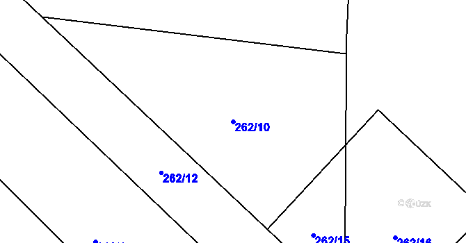 Parcela st. 262/10 v KÚ Račetice, Katastrální mapa