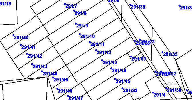 Parcela st. 291/12 v KÚ Račetice, Katastrální mapa