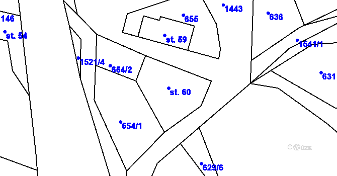 Parcela st. 60 v KÚ Petrašovice, Katastrální mapa