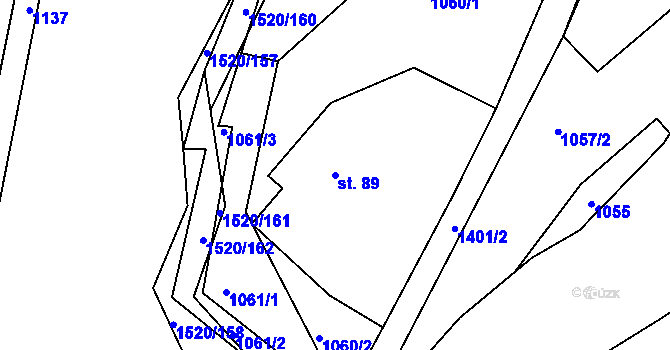 Parcela st. 89 v KÚ Petrašovice, Katastrální mapa