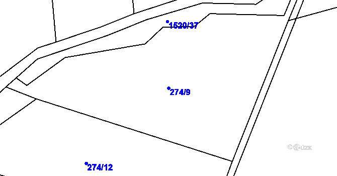 Parcela st. 274/9 v KÚ Petrašovice, Katastrální mapa