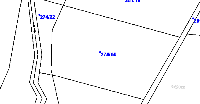 Parcela st. 274/14 v KÚ Petrašovice, Katastrální mapa