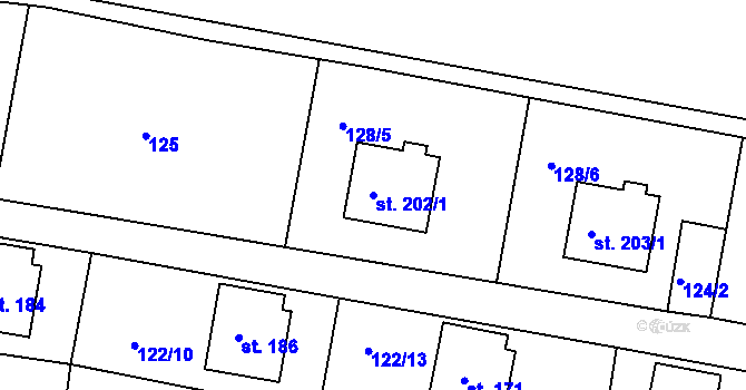 Parcela st. 202/1 v KÚ Petroupim, Katastrální mapa