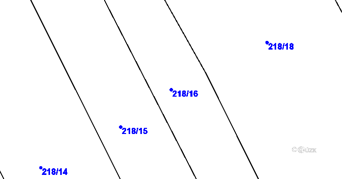 Parcela st. 218/16 v KÚ Petrovice u Miličína, Katastrální mapa