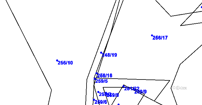 Parcela st. 248/19 v KÚ Petrovice u Borovan, Katastrální mapa