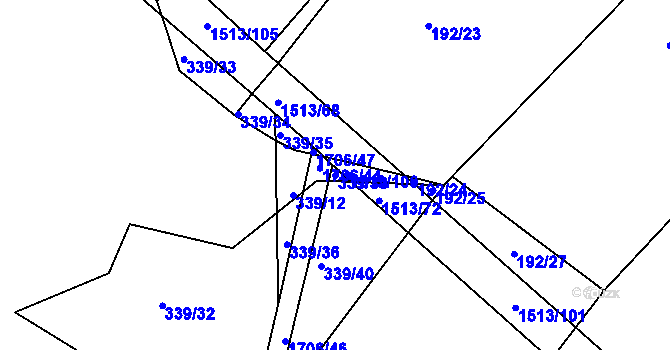 Parcela st. 339/39 v KÚ Petrovice u Borovan, Katastrální mapa