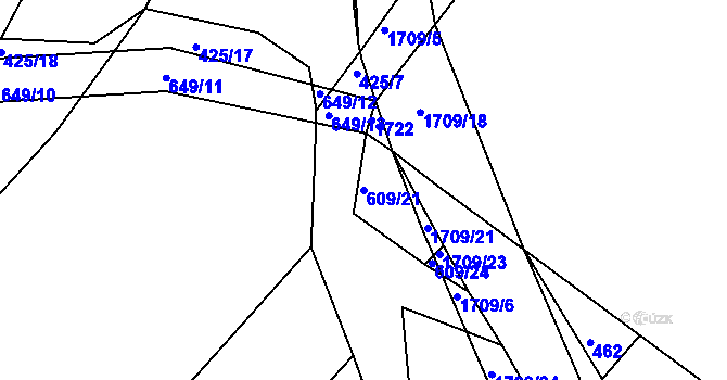 Parcela st. 609/21 v KÚ Petrovice u Borovan, Katastrální mapa