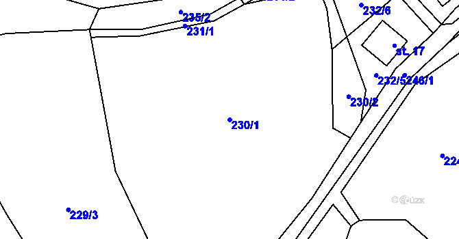Parcela st. 230/1 v KÚ Trsice, Katastrální mapa