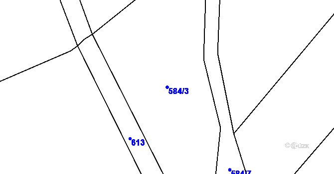 Parcela st. 584/3 v KÚ Kanice u Petrovic, Katastrální mapa