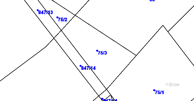 Parcela st. 75/3 v KÚ Petrovice nad Orlicí, Katastrální mapa