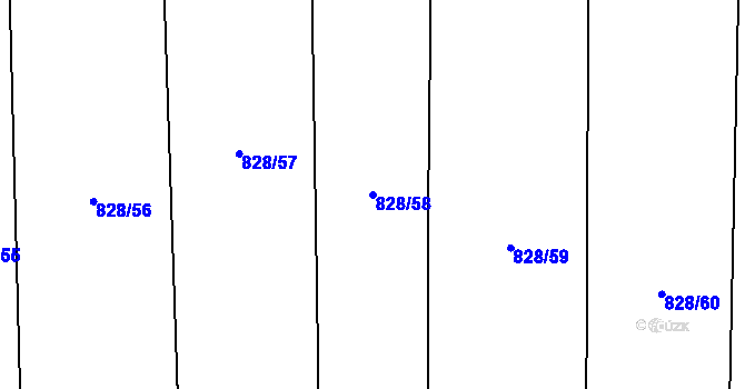 Parcela st. 828/58 v KÚ Petrovice u Blanska, Katastrální mapa