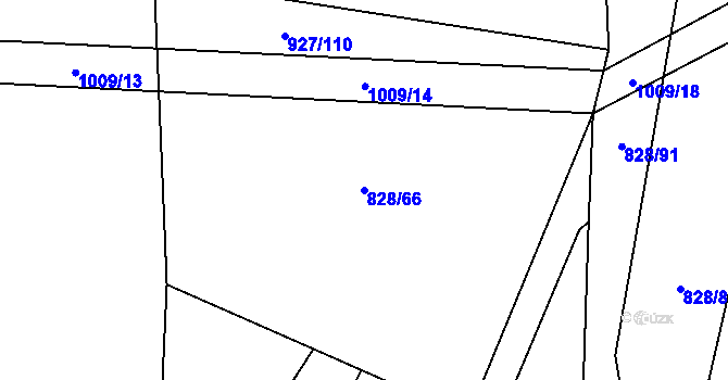 Parcela st. 828/66 v KÚ Petrovice u Blanska, Katastrální mapa