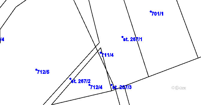 Parcela st. 711/4 v KÚ Petrovice u Blanska, Katastrální mapa