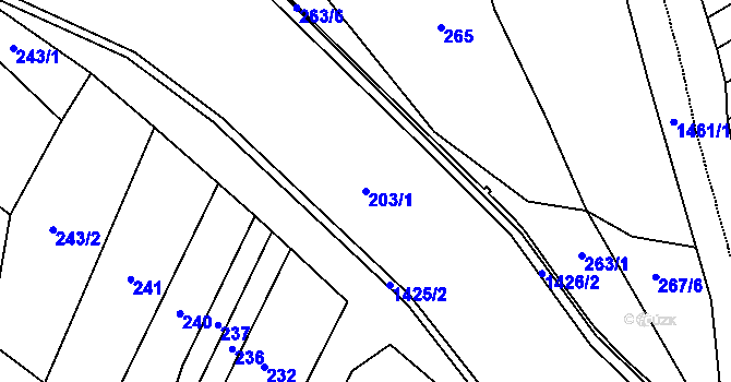 Parcela st. 203/1 v KÚ Petrovice u Třebíče, Katastrální mapa