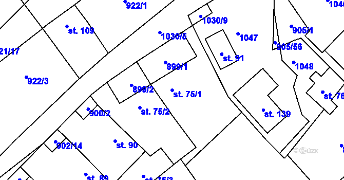 Parcela st. 75/1 v KÚ Hološiny, Katastrální mapa