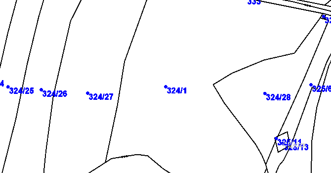 Parcela st. 324/1 v KÚ Radimovice u Velkých Popovic, Katastrální mapa