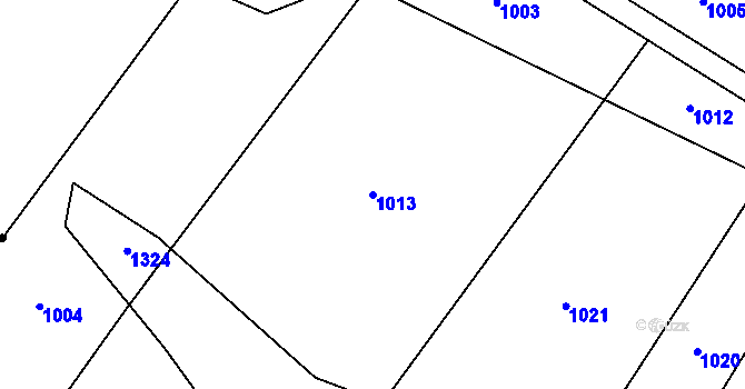Parcela st. 1013 v KÚ Nové Sady u Písečného, Katastrální mapa