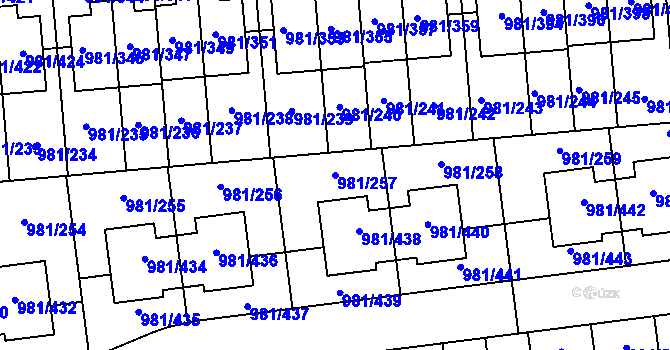 Parcela st. 981/257 v KÚ Písnice, Katastrální mapa