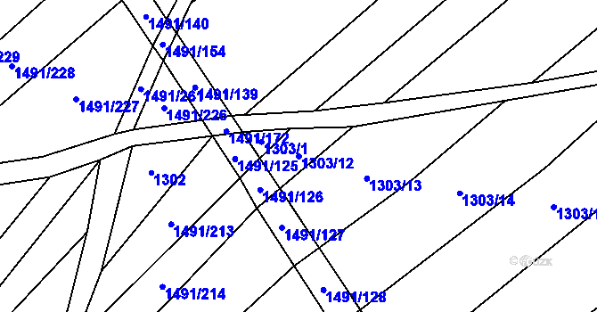 Parcela st. 1303/12 v KÚ Pitín, Katastrální mapa