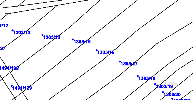 Parcela st. 1303/16 v KÚ Pitín, Katastrální mapa