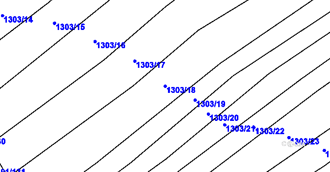 Parcela st. 1303/18 v KÚ Pitín, Katastrální mapa