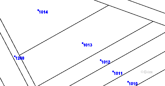 Parcela st. 1013 v KÚ Pivín, Katastrální mapa