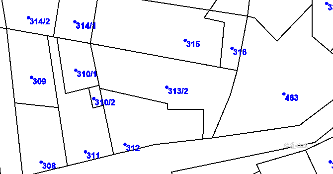 Parcela st. 313/2 v KÚ Pivín, Katastrální mapa