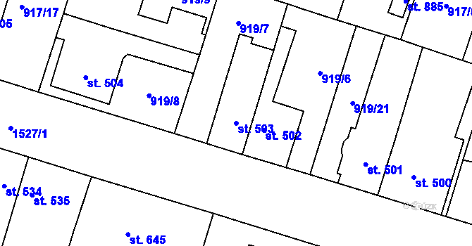 Parcela st. 503 v KÚ Plácky, Katastrální mapa