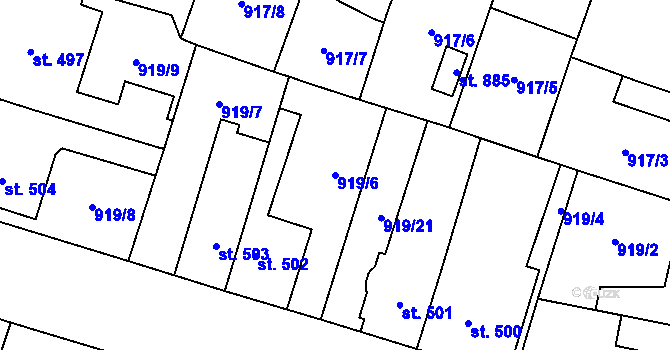 Parcela st. 919/6 v KÚ Plácky, Katastrální mapa