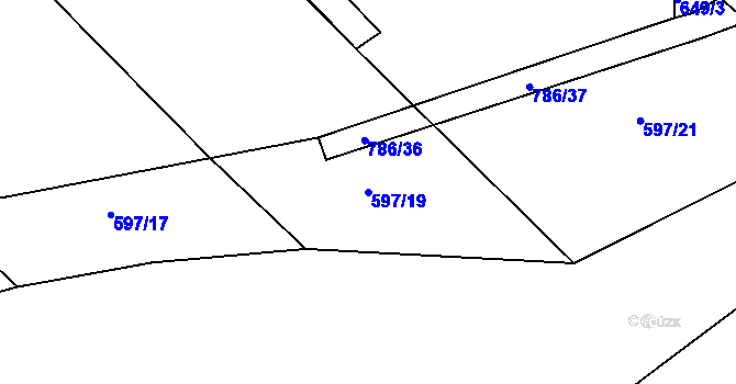 Parcela st. 597/19 v KÚ Plačice, Katastrální mapa