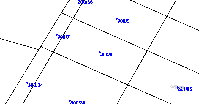 Parcela st. 300/8 v KÚ Plačkov, Katastrální mapa
