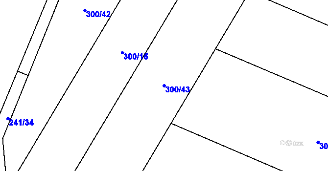 Parcela st. 300/43 v KÚ Plačkov, Katastrální mapa