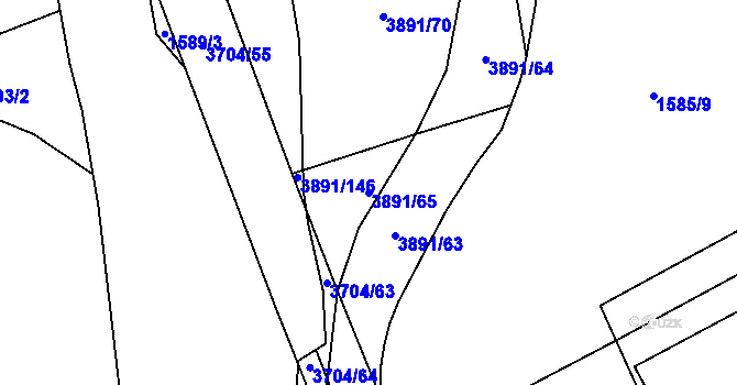 Parcela st. 3891/65 v KÚ Planá u Mariánských Lázní, Katastrální mapa