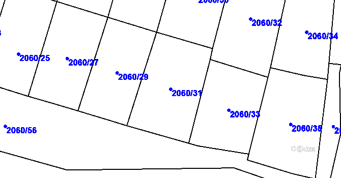 Parcela st. 2060/31 v KÚ Planá u Mariánských Lázní, Katastrální mapa
