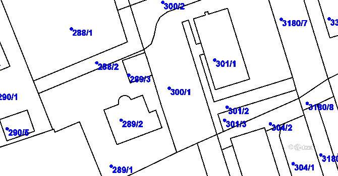 Parcela st. 300/1 v KÚ Planá nad Lužnicí, Katastrální mapa