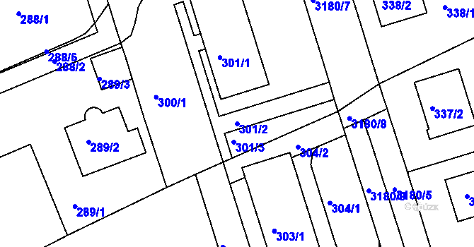 Parcela st. 301/2 v KÚ Planá nad Lužnicí, Katastrální mapa
