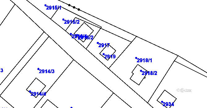 Parcela st. 2919 v KÚ Planá nad Lužnicí, Katastrální mapa