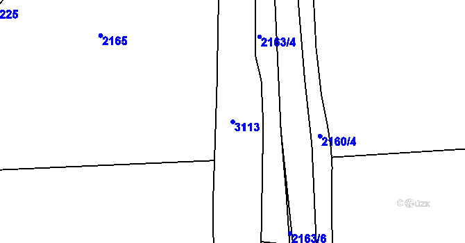 Parcela st. 3113 v KÚ Planá nad Lužnicí, Katastrální mapa